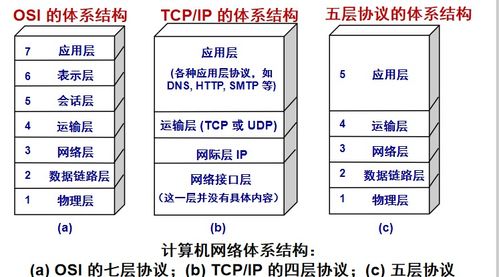 计算机网络与计算机系统服务 构建数字世界的基石